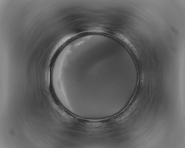 X0000111531323200908041257