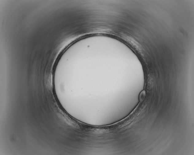 X0000111531324200908041257