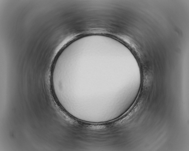 X0000111531325200908041257