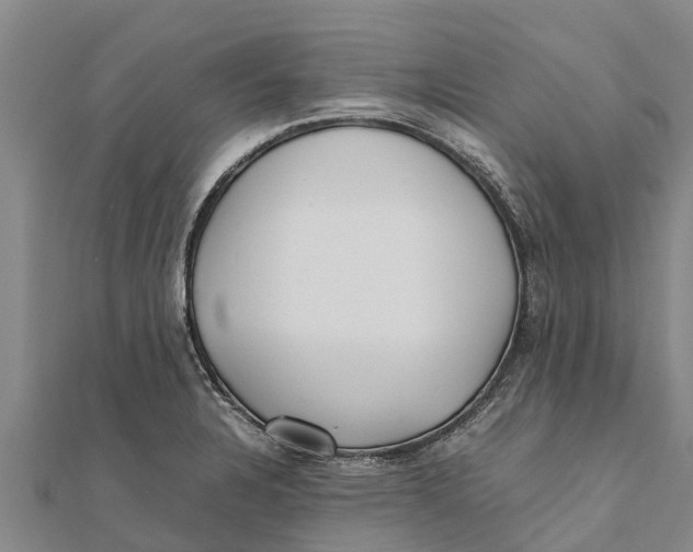 X0000111531328200908041257