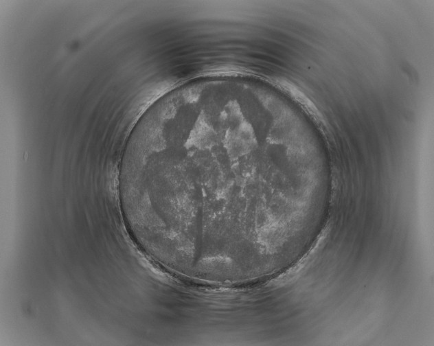 X0000111531329200908041257