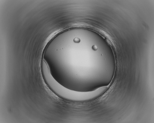 X0000111531330200908041257