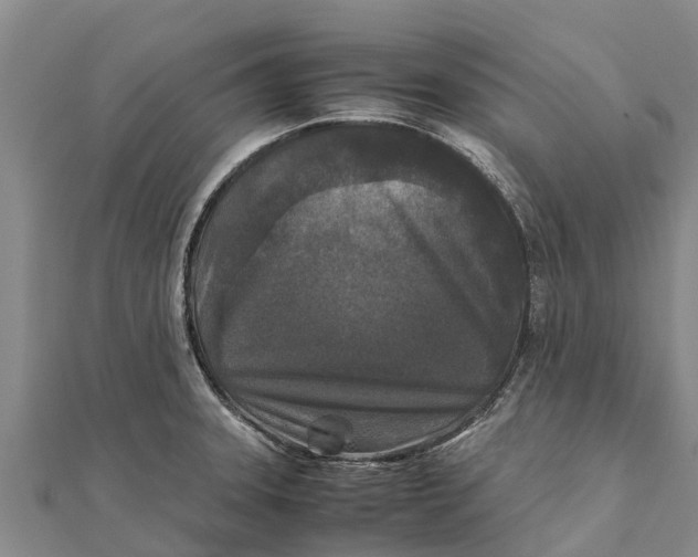 X0000111531331200908041257