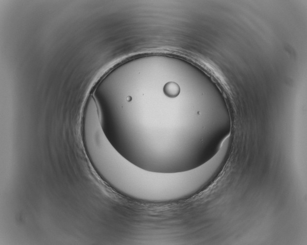 X0000111531332200908041257