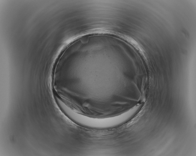 X0000111531334200908041257