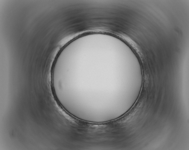 X0000111531335200908041257