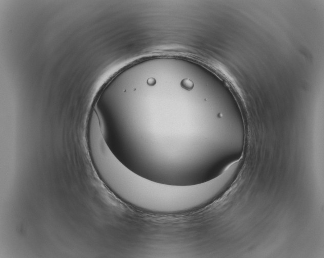 X0000111531336200908041257