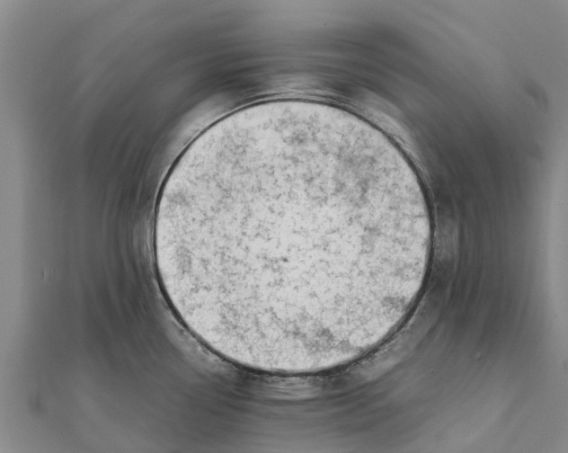 X0000111531338200908041257