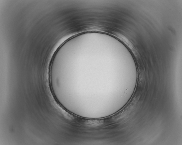 X0000111531339200908041257