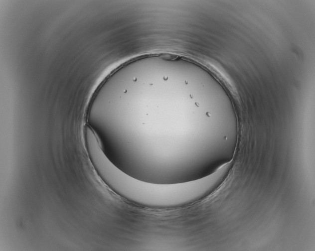 X0000111531340200908041257