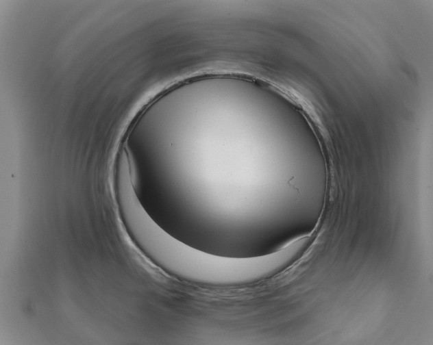 X0000111531342200908041257