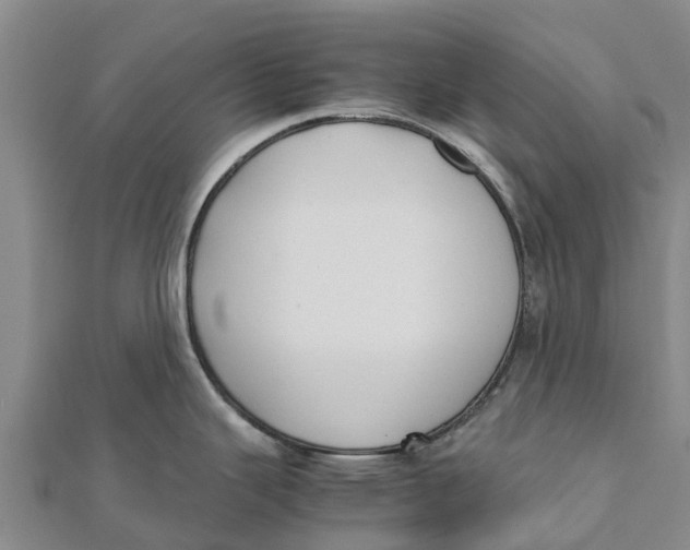 X0000111531343200908041257