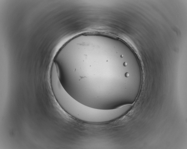 X0000111531344200908041257