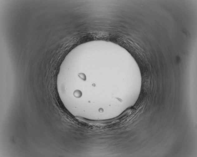 X0000111531345200908041256