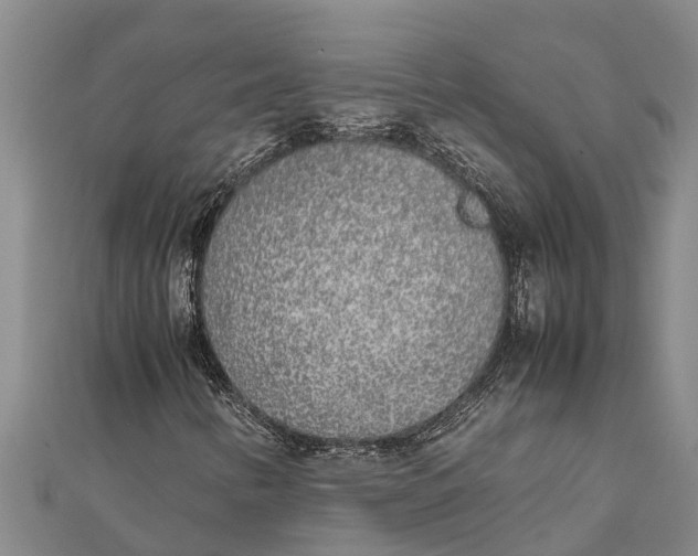 X0000111531346200908041256