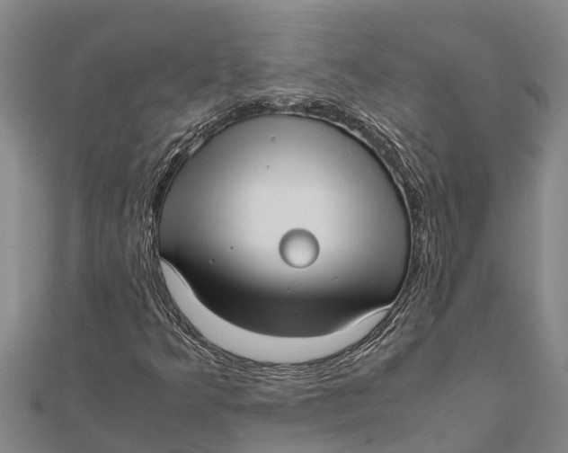 X0000111531349200908041256