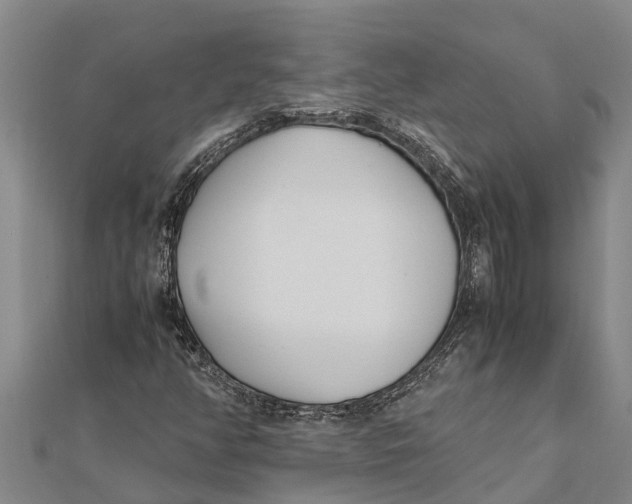 X0000111531350200908041256