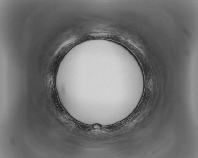 X0000111531351200908041256