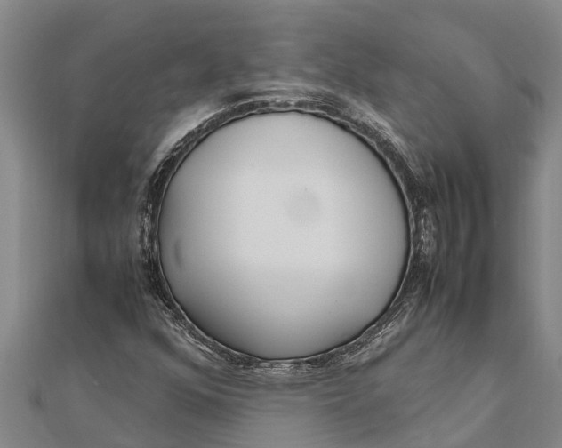 X0000111531352200908041256