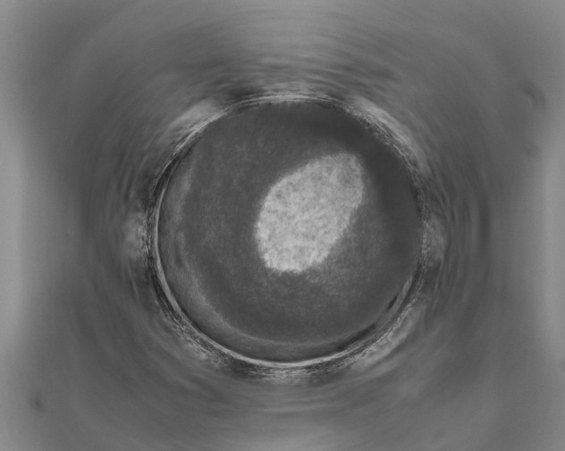 X0000111531353200908041256