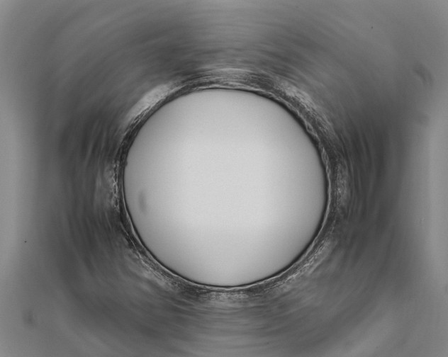 X0000111531354200908041256