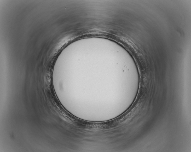 X0000111531355200908041256