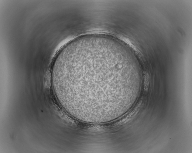 X0000111531358200908041256