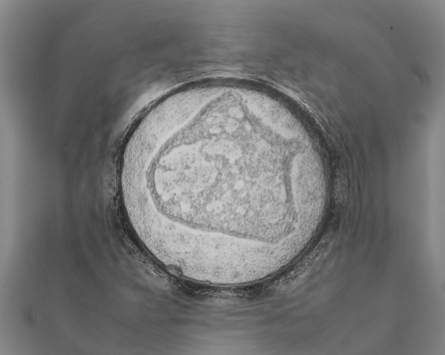 X0000111531359200908041256