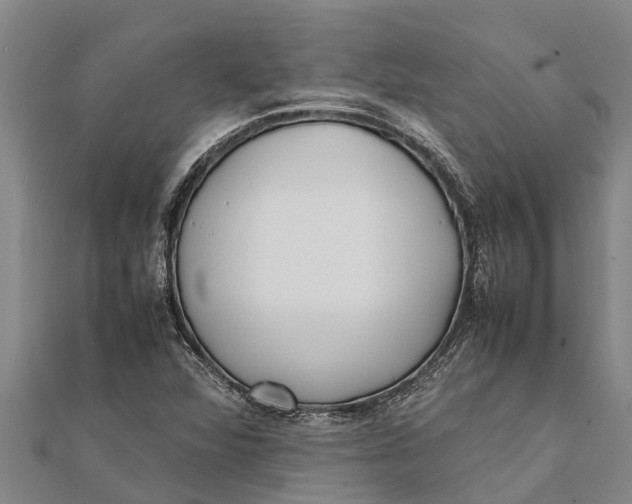 X0000111531360200908041256