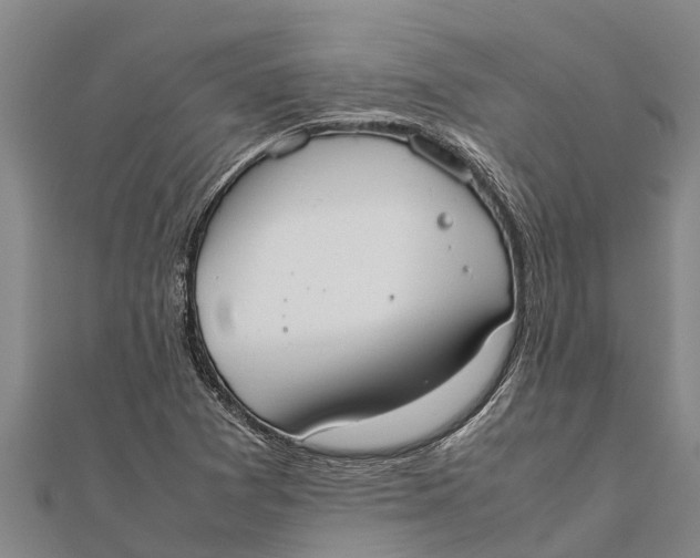 X0000111531361200908041256