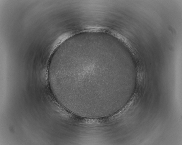 X0000111531362200908041256