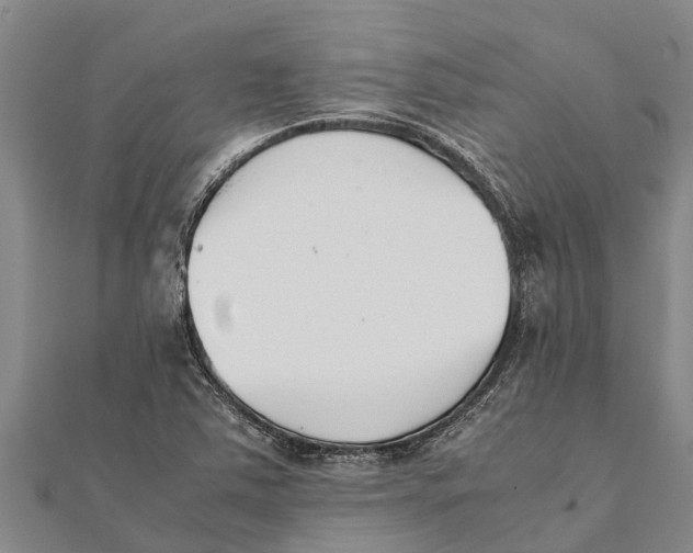 X0000111531363200908041256