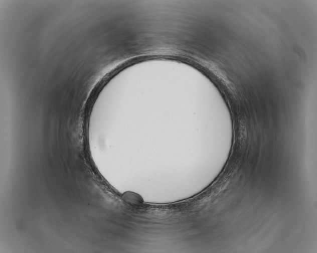 X0000111531364200908041256