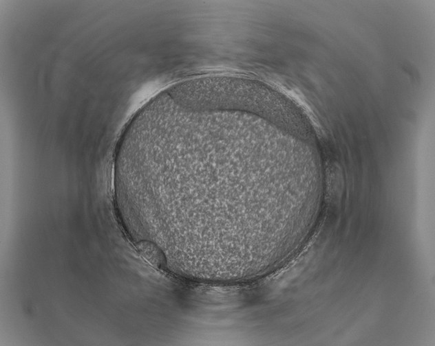 X0000111531365200908041256