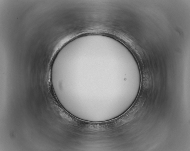 X0000111531366200908041256