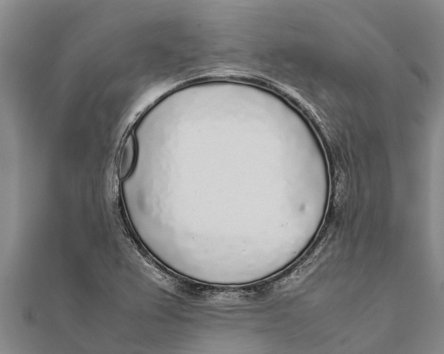 X0000111531367200908041256