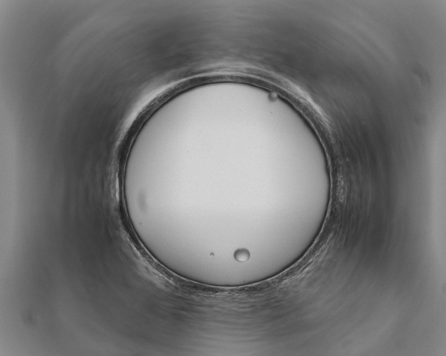 X0000111531368200908041256