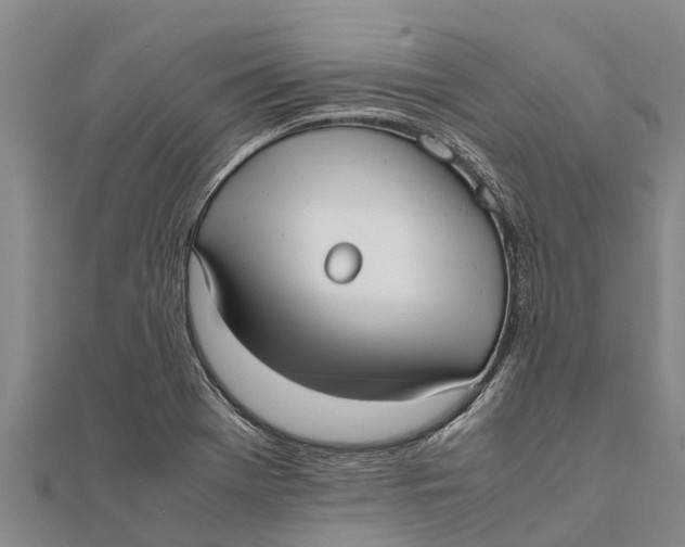 X0000111531369200908041256