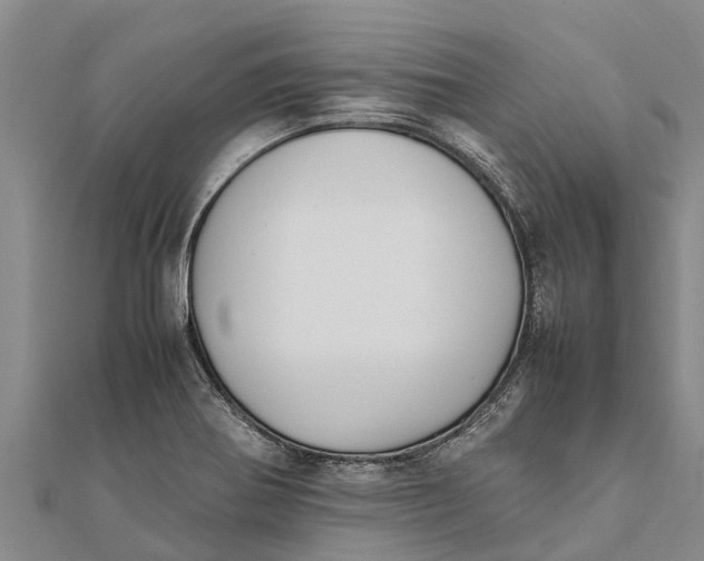 X0000111531370200908041256