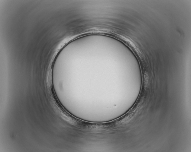 X0000111531371200908041256