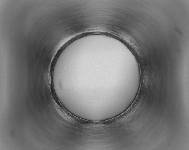 X0000111531372200908041256