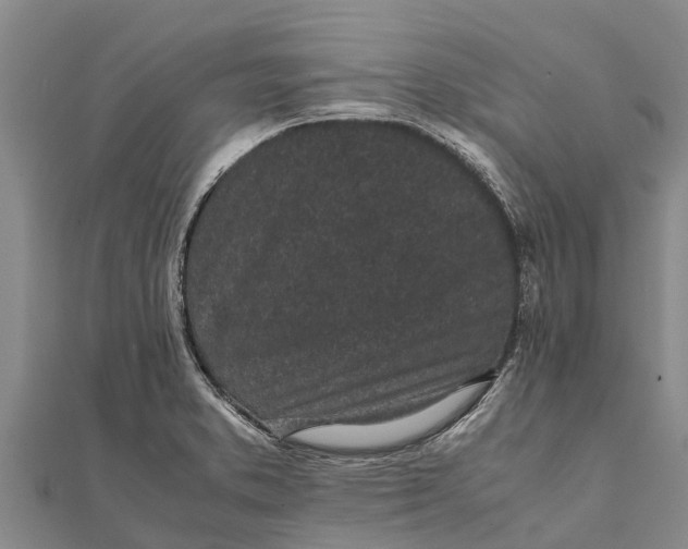 X0000111531373200908041256