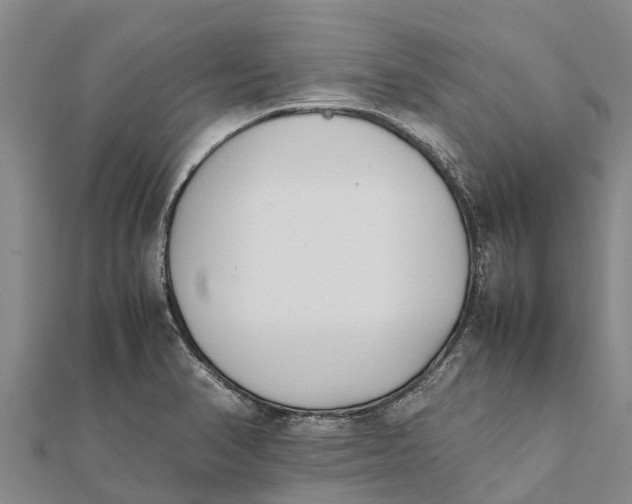 X0000111531374200908041256