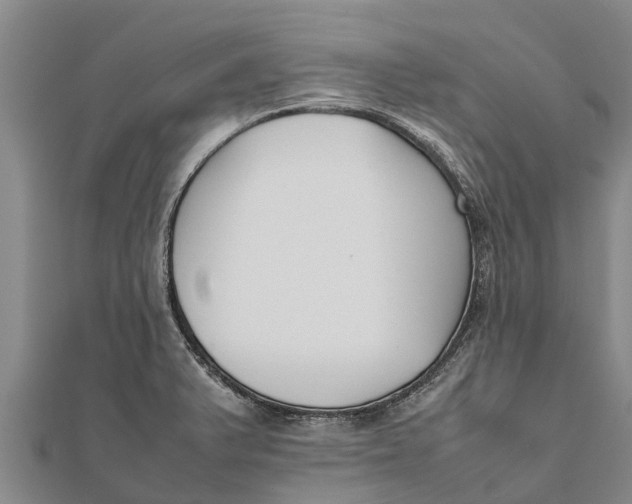 X0000111531375200908041256