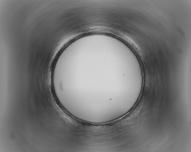 X0000111531376200908041256