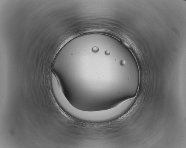 X0000111531377200908041256