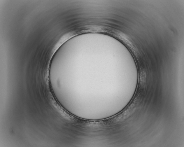 X0000111531378200908041256