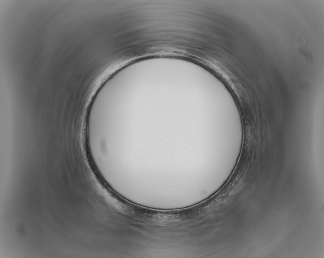 X0000111531379200908041256