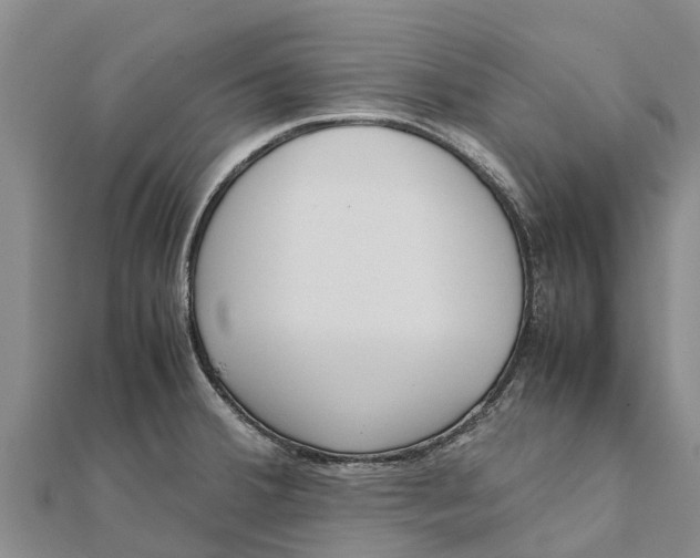 X0000111531380200908041256