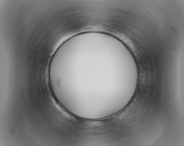 X0000111531382200908041256